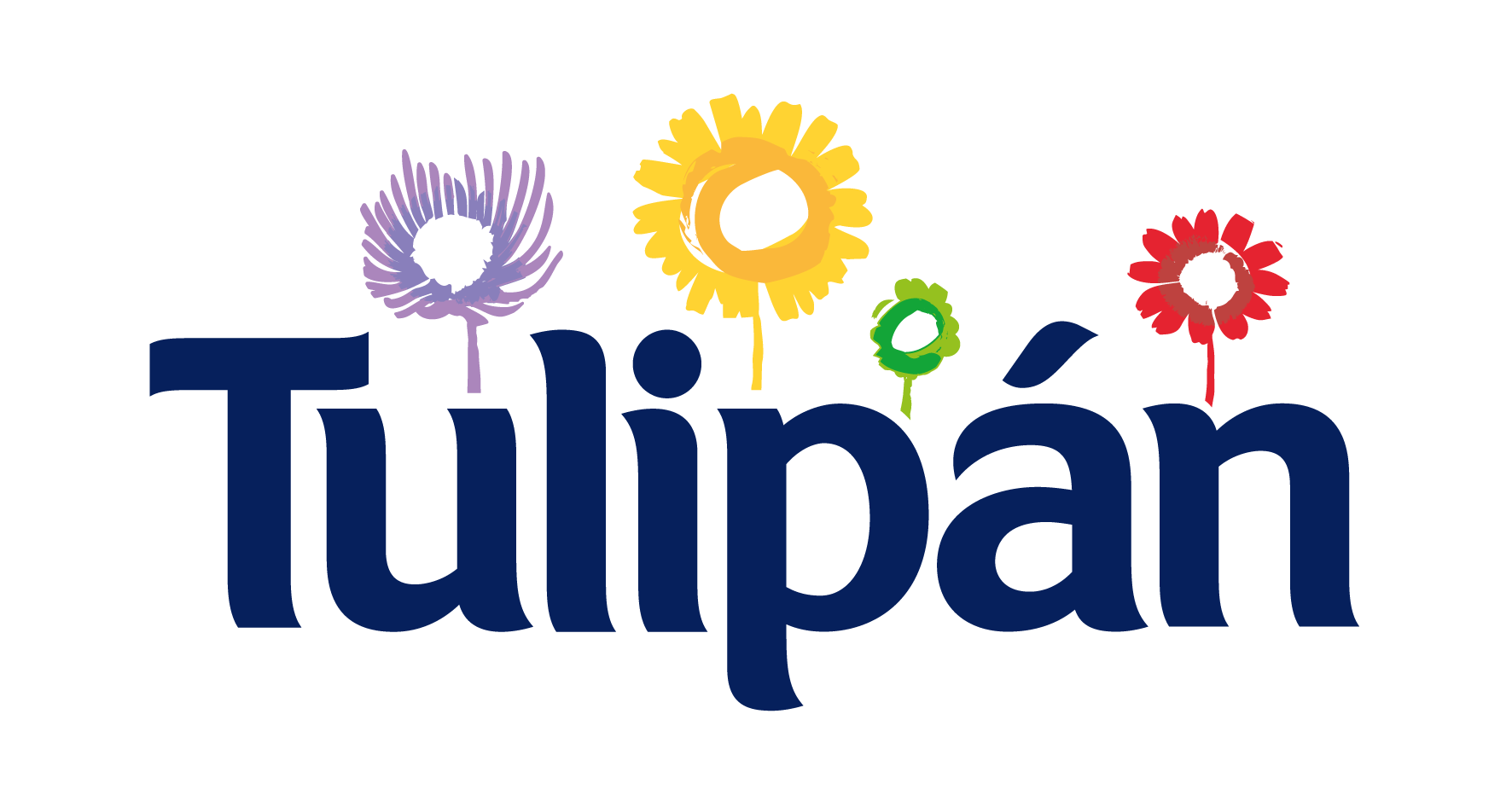 Tulipan